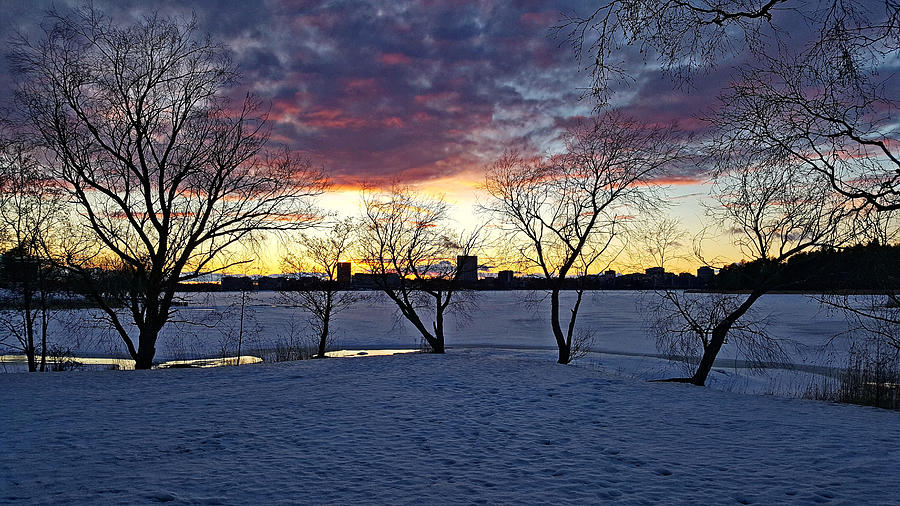Sunset over Espoo Photograph by Gareth Parkes