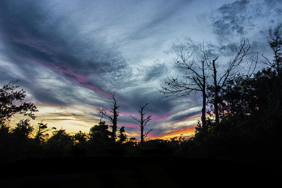Sunset Over Maritime Forest - Harkers Island NC Photograph by Bob Decker