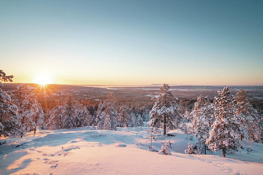 Sunset over snow-covered untouched forest, Finland Photograph by Vaclav Sonnek