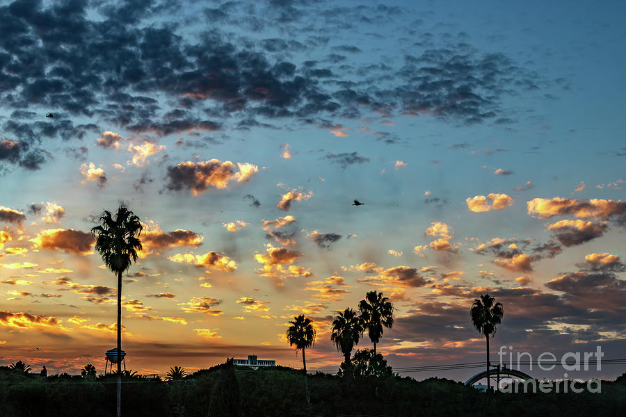 Sunset Over Sony Studios/Columbia Pictures Photograph by Roslyn Wilkins