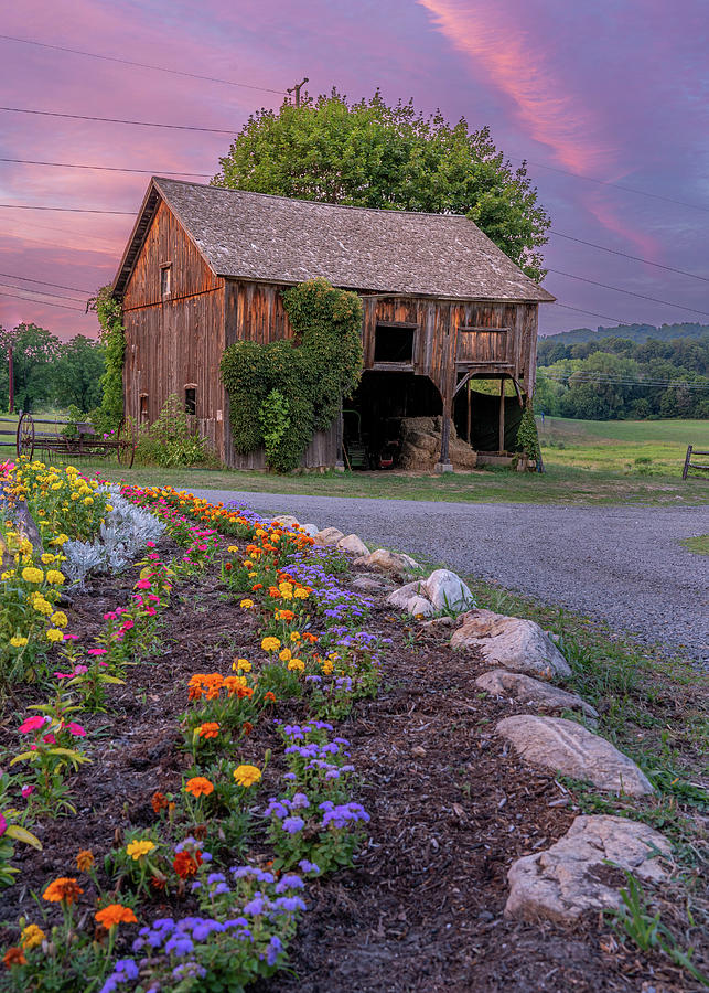 Sunset Over Sullivan Farm Barn Photograph by Dave King - Fine Art America