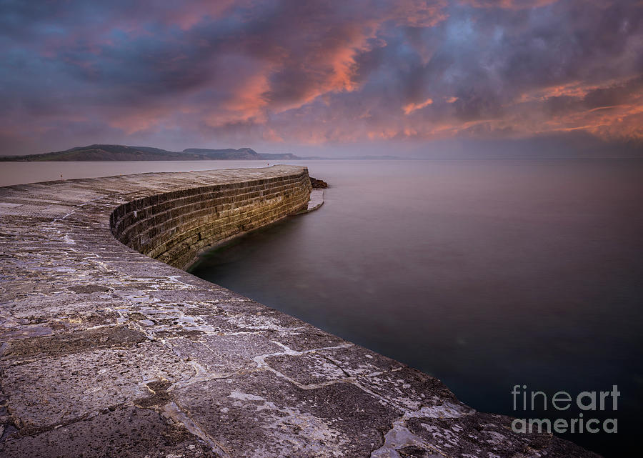 Sunset over the Cobb, Lyme Regis, Dorset, England Photograph by Neale And Judith Clark