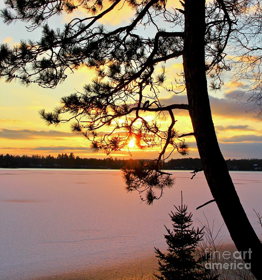 Sunset Over the Frozen Lake, Minnesota Photograph by Ann Brown