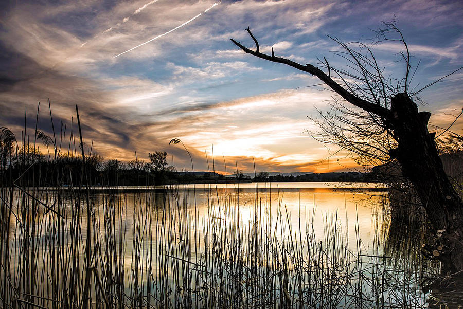 Sunset Photograph - Sunset Over The Lake In Winter by Sandi OReilly