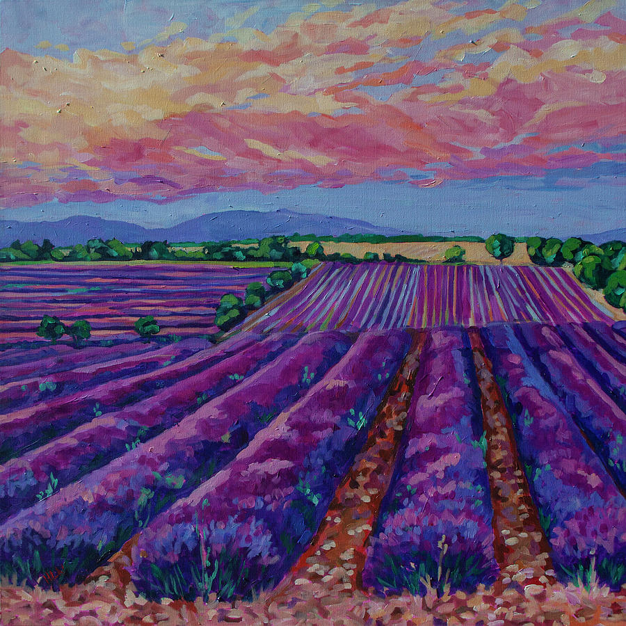 Sunset over the Lavender field Painting by Heather Nagy