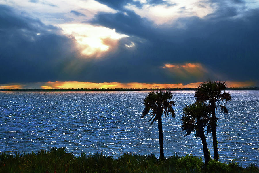 Sunset Over the Palms - New Smyrna Beach, FL Photograph by Joann Vitali