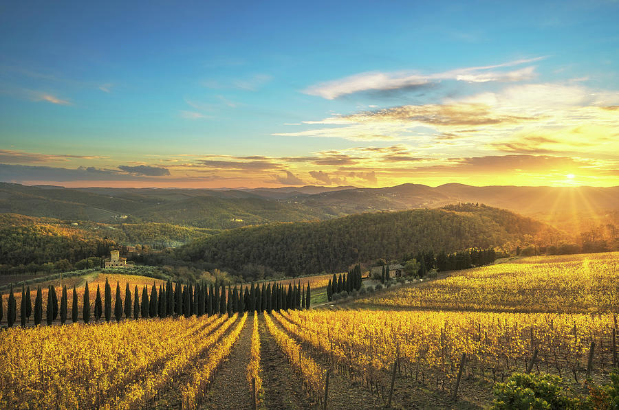 Sunset over the Vineyards of Radda in Chianti Photograph by Stefano Orazzini