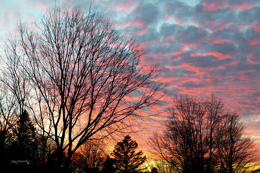 Sunset Over Trees Photograph by Ken Figurski