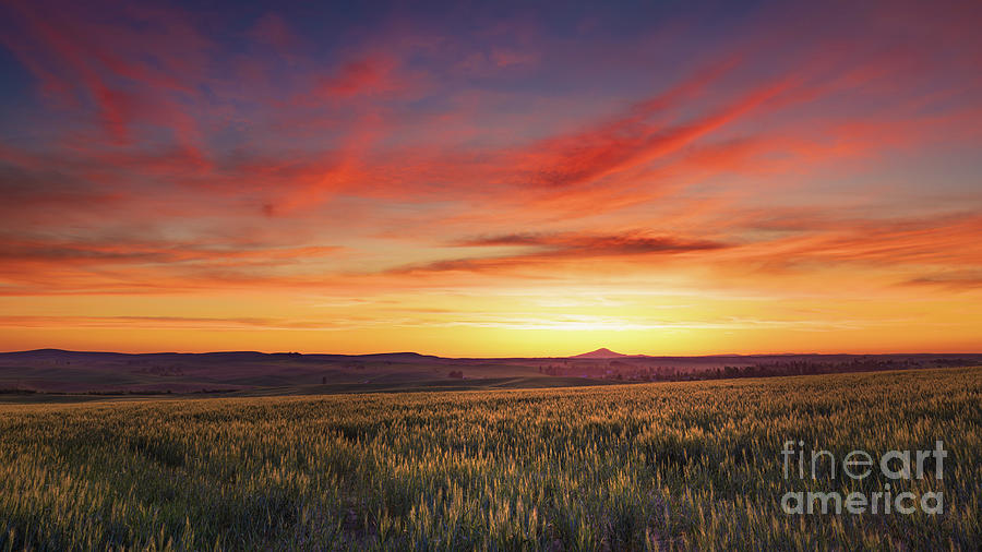 Sunset Over Wheat Fields Of Palouse Photograph by Doug Sturgess