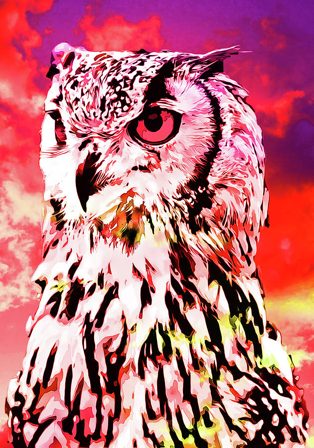 Sunset Owl Painting by Alan Galindo | Fine Art America