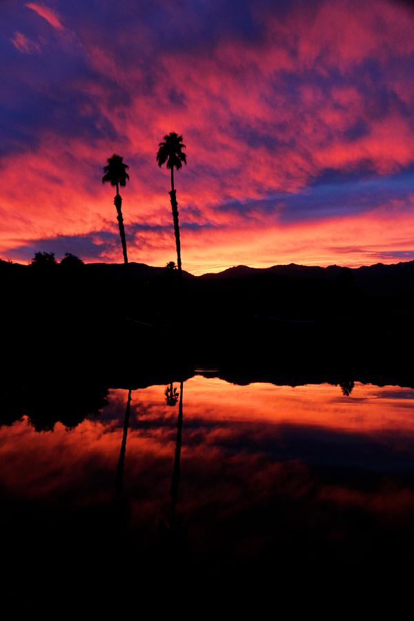 Sunset Palm Desert Photograph by Thomas Hartley Fine Art America