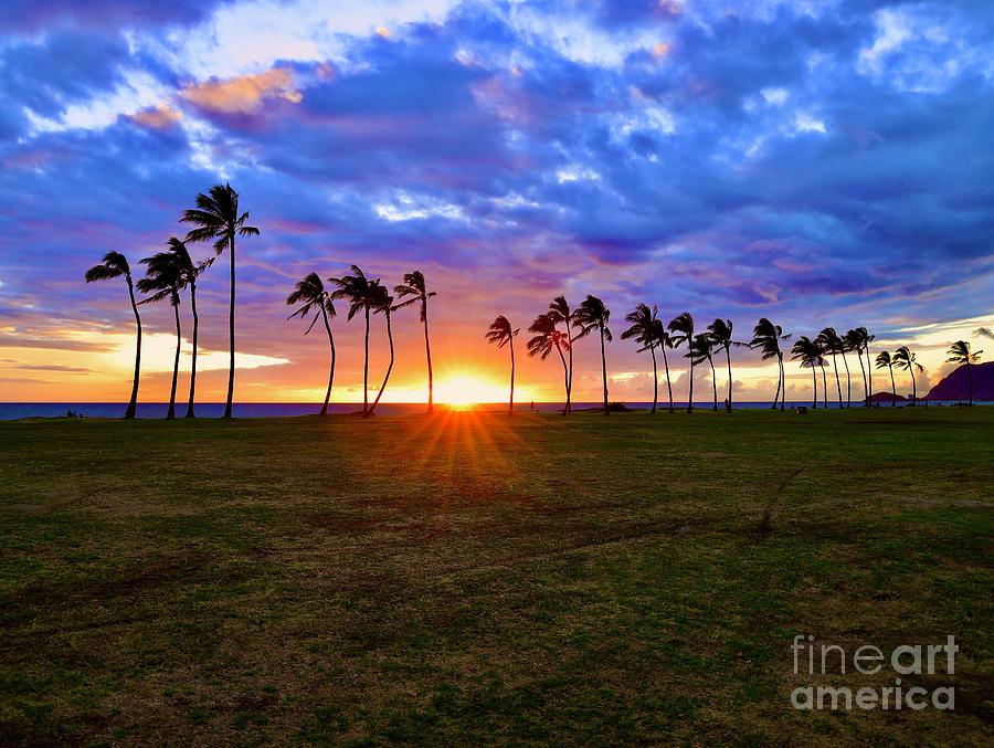 Sunset Palms at Maili Photograph by Craig Wood