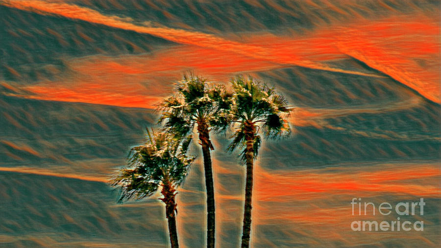 Sunset Palms Digital Art by David Ragland