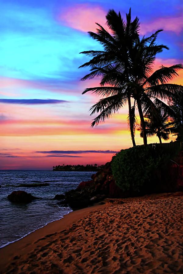 Sunset Palms Photograph by Vernon Platt - Fine Art America
