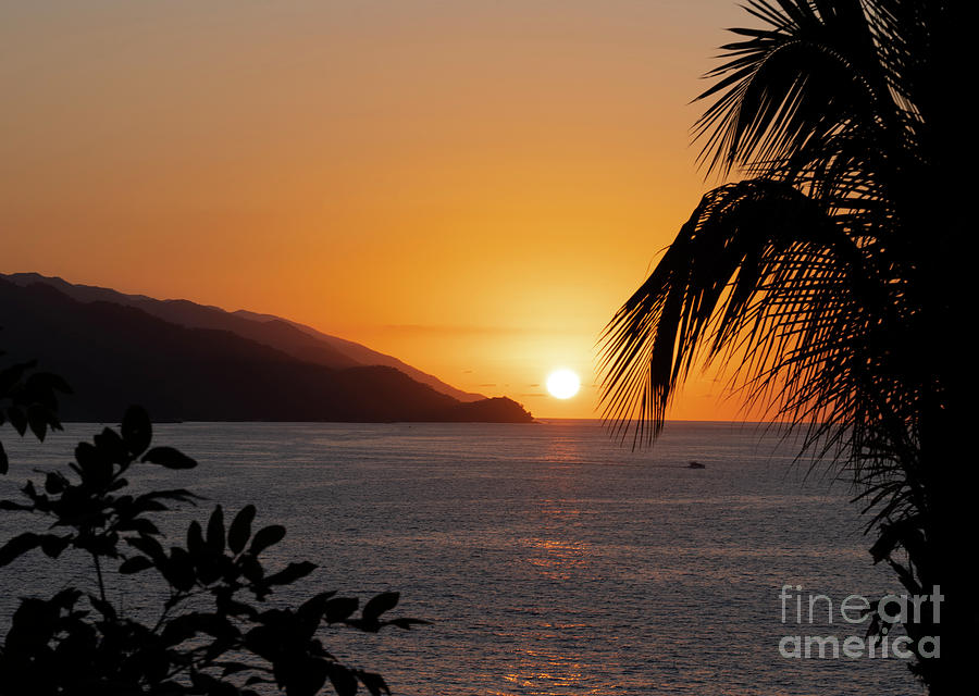 Sunset Paradiso Puerto Vallarta Mexico Photograph by Wayne Moran