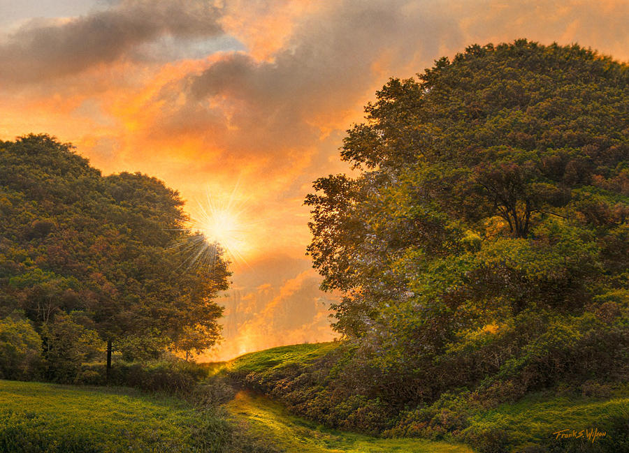Sunset Path D Digital Art by Frank Wilson