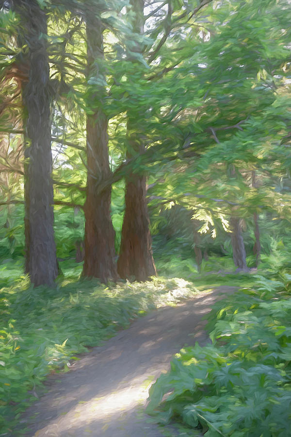 Sunset Path through a Forest Digital Art by John Twynam