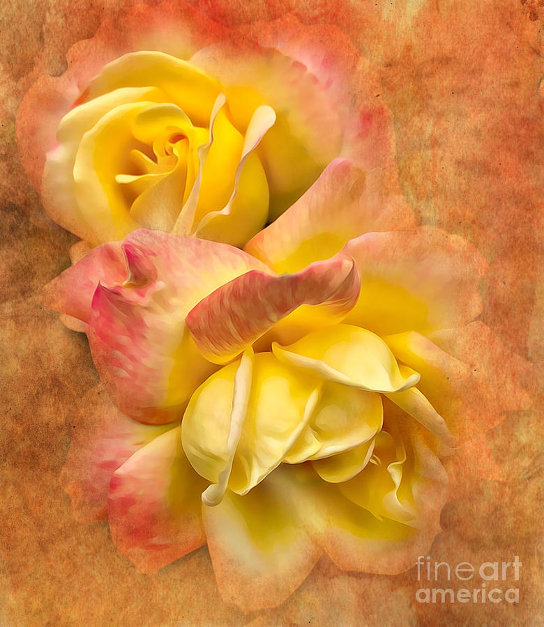 Sunset Peace Roses Photograph by Judy Palkimas