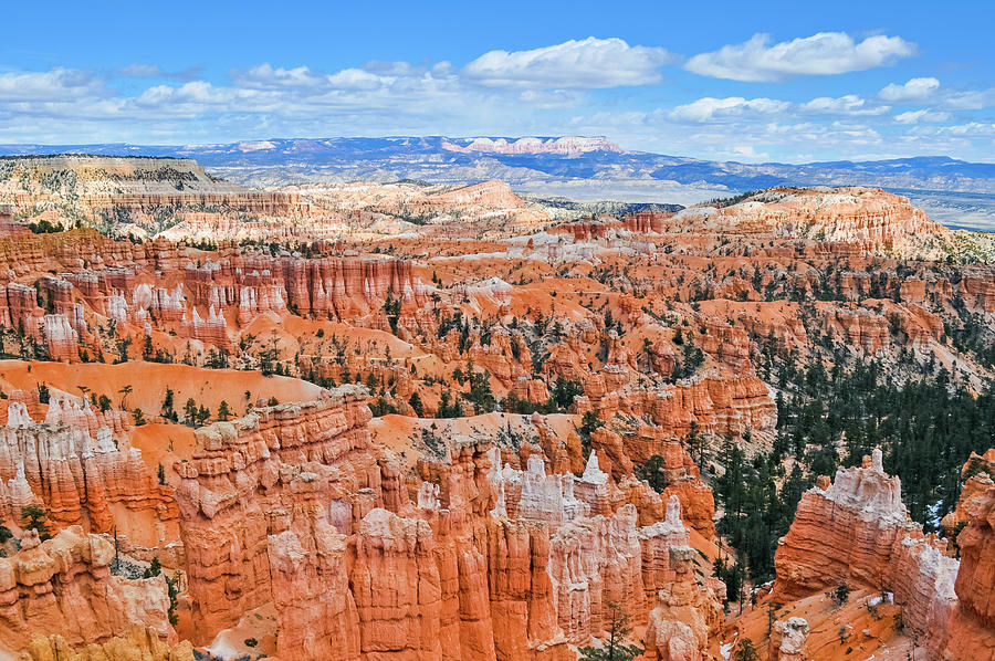 Sunset Point Bryce Canyon Photograph by Kyle Hanson