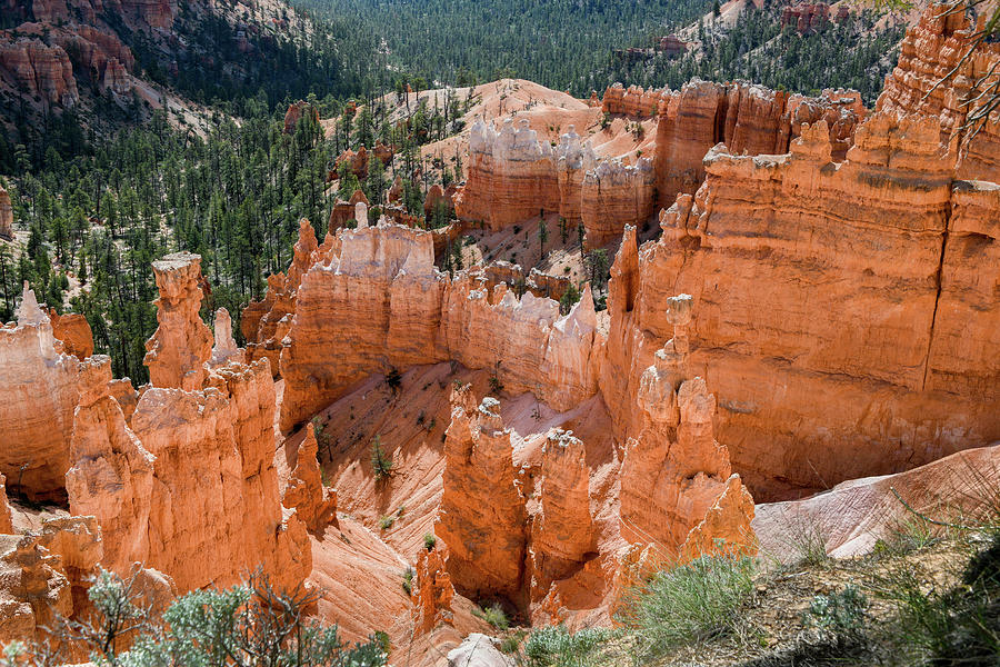 Sunset Point Hoodoos at Bryce Canyon  Photograph by Anthony Sacco