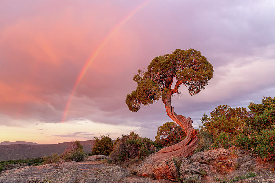 Sunset Rainbow Photograph by Angela Moyer