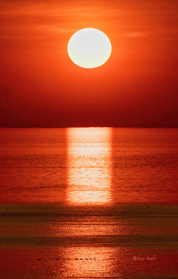 Sunset Photograph by Rebecca Samler
