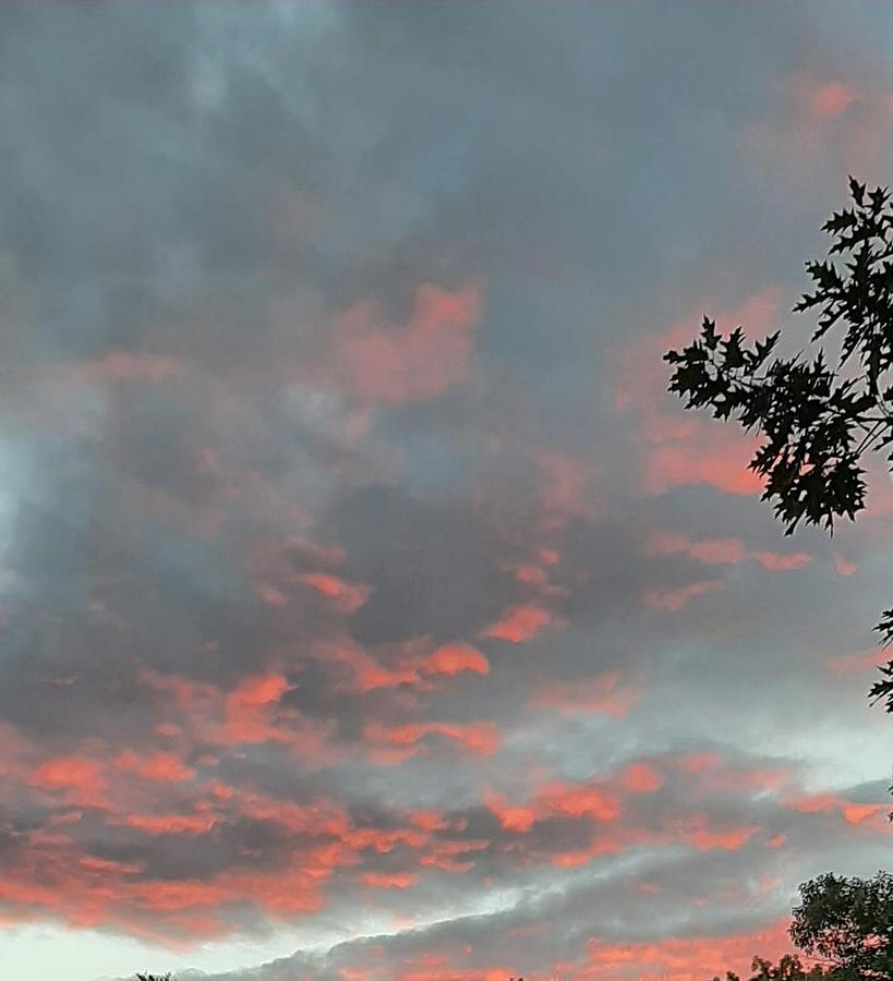 Sunset Red Clouds Photograph by Kelly Elliott - Fine Art America