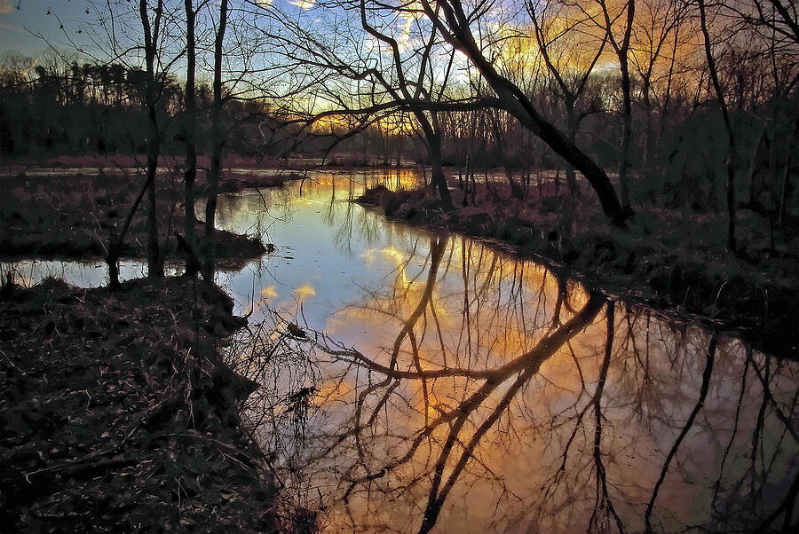 Tree Photograph - Sunset Reflection At Williston Mill by Brian Wallace