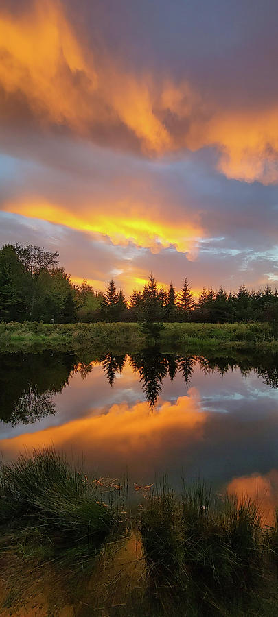 Sunset Reflection Photograph by Brook Burling