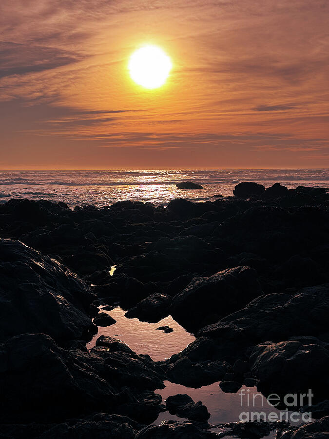 Sunset Reflection Photograph by Leslie Brashear Sunset Reflection Photograph by Leslie Brashear