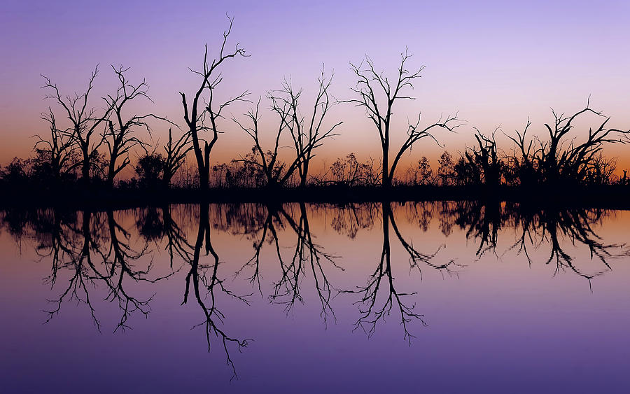 Sunset Reflections on Pamamaroo Lake Photograph by Lexa Harpell