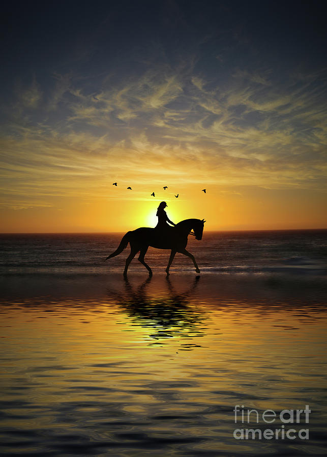 Sunset Ride on the Beach with Horse and Rider Birds  Photograph by Stephanie Laird