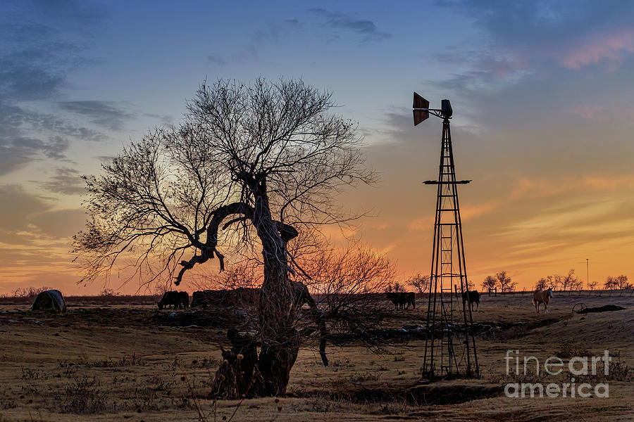 Sunset Roadside Scene in Oklahoma Photograph by Richard Smith