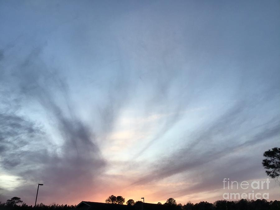 Sunset Rush Photograph by Catherine Wilson