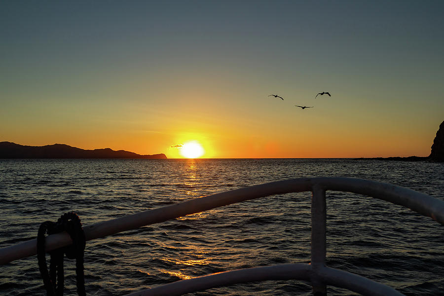Sunset Sail  #1 Photograph by Cindy Robinson