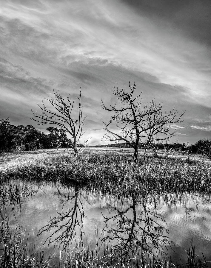 Sunset Salty Marsh at Jekyll Island Black and White Photograph by Debra and Dave Vanderlaan