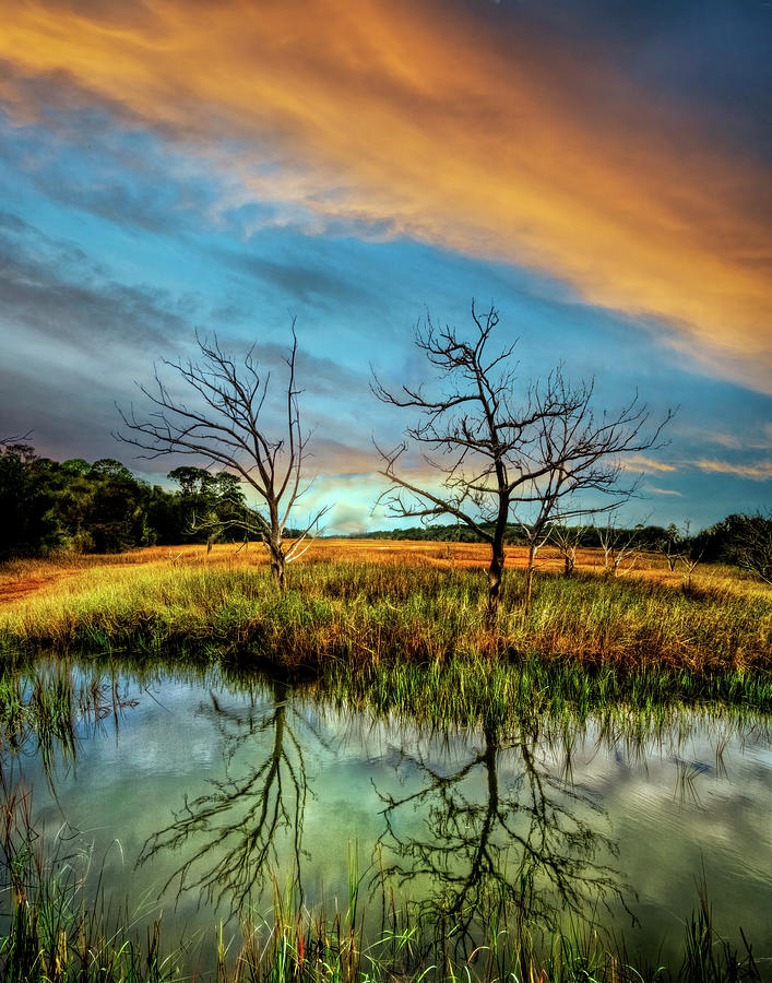 Sunset Salty Marsh at Jekyll Island Photograph by Debra and Dave ...