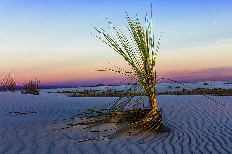 Sunset Sands Photograph by Jason Roberts