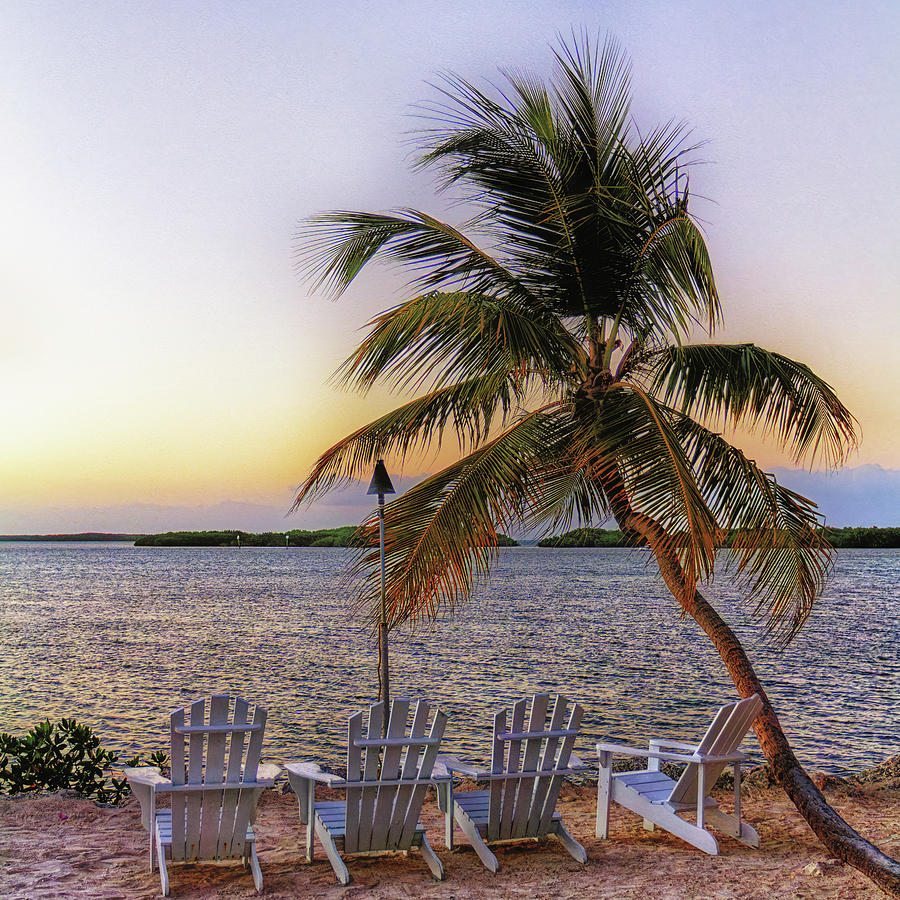 Sunset Seating Photograph by Ron Dubin