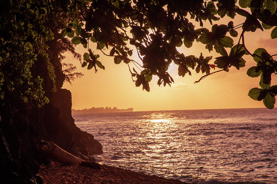 Beach Photograph - Sunset Shelter by Tony Spencer