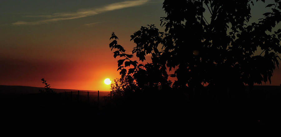 Sunset Photograph - Sunset by Shiela Kowing