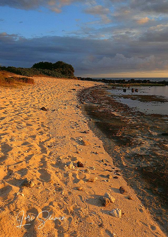Sunset Shoreline Photograph by Lori Seaman