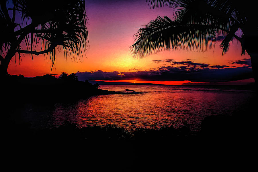 Sunset  Silhouette Photograph