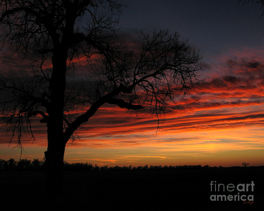 Landscape Photograph - Sunset Silhouette by Rosanna Life