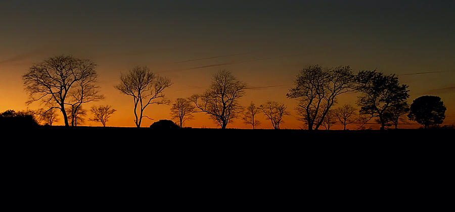 Sunset Silhouettes Photograph by Mark Truman