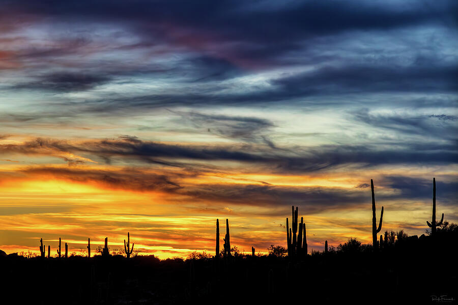 Nature Photograph - Sunset Silhouettes by Rick Furmanek