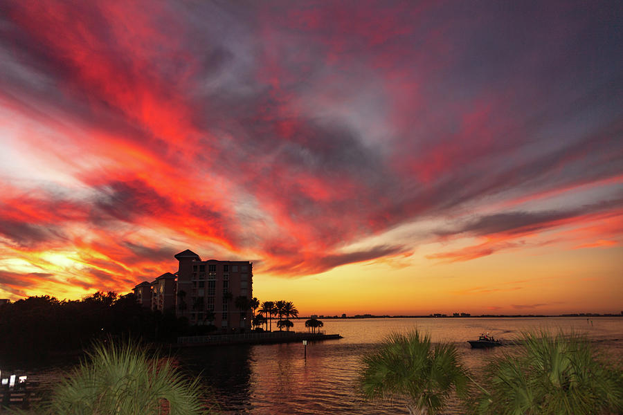 Sunset Skies Photograph By Yuliya Gallimore