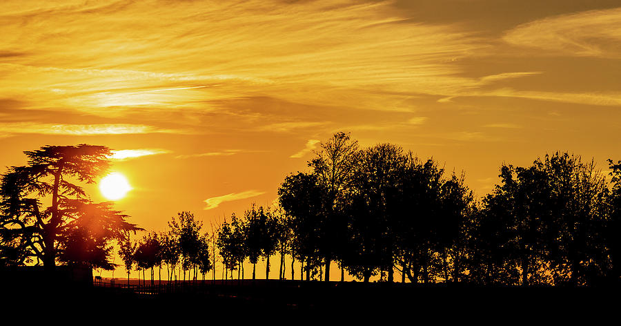 Sunset sky and silhouette of trees Photograph by Fabiano Di Paolo