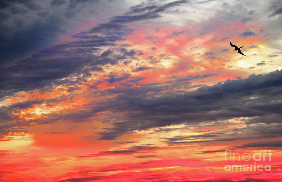 Sunset Sky Photograph by Mariarosa Rockefeller