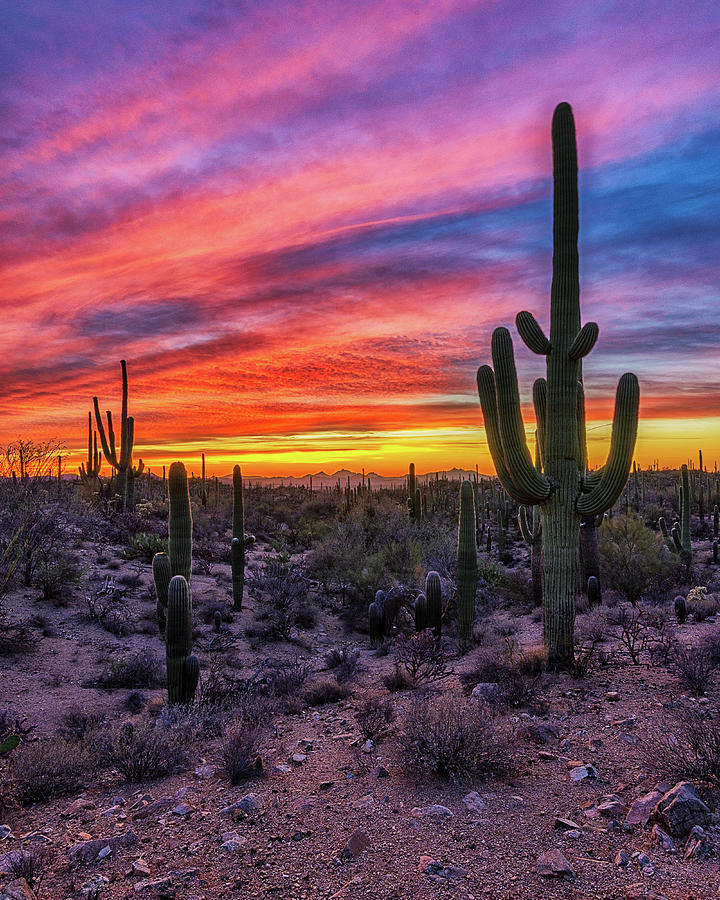 Sunset Sky Over Saguaro National Park Photograph by Mike Winer - Pixels